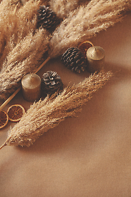 포토 JPG 해외이미지 식물 계절 줄기 백그라운드 잎 겨울 오렌지 자연 사람없음 목재 여름 뷰티 갈색 노란색 정원 검은색 봄 성장 가을 흰색 나뭇가지 황금 유연 깃털 질감 내추럴 해외포토 나무 컬러 과일 재료 생태계 파일형식 이미지허브