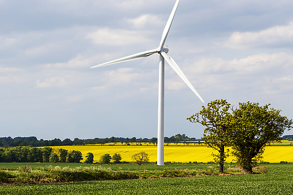 포토 JPG 해외이미지 식물 산업 밭 자연 하늘 바람 사람없음 초록색 파란색 농장 환경 힘 재활용 풍차 발전기 에너지 보호 자원 방앗간 생태학 해외포토 자연요소 교육 컬러 컨셉 농업 날씨 발전소 친환경 생태계 파일형식 이미지허브