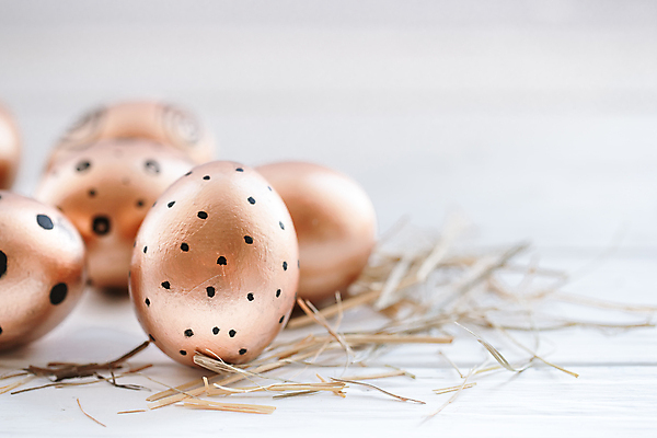 포토 JPG 해외이미지 부활절 사람없음 아웃포커스 계란 해외포토 기념일 촬영기법 알 파일형식 이미지허브