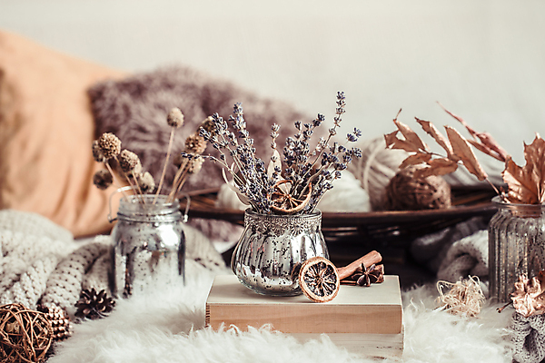 포토 JPG 해외이미지 화분 실내 사람없음 아웃포커스 오브젝트 건과일 마른잎 해외포토 잎 과일 건조 촬영기법 내부 파일형식 이미지허브