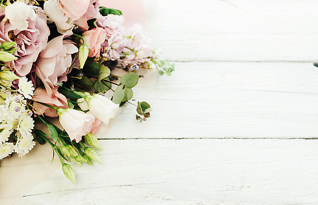 포토 JPG 해외이미지 식물 디자인 계절 꽃잎 꽃 리본 분홍색 꽃다발 결혼 백그라운드 잎 꽃무늬 자연 부활절 기념 사랑 사람없음 장식 초록색 컬러풀 뷰티 장미 정원 봄 벚꽃 흰색 신선 개화 다발 배열 꽃집 원예 내추럴 고립 유칼립투스 스타일 해외포토 기념일 감정 컬러 무늬 이벤트 취미 상점 생태계 파일형식 이미지허브