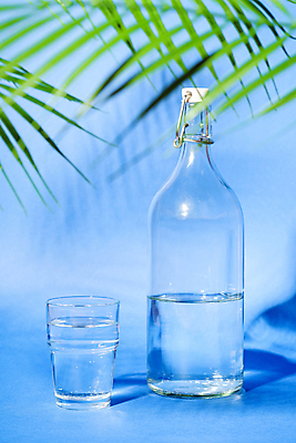 포토 JPG 해외이미지 유리병 그림자 사람없음 물 투명 물컵 파란배경 야자수잎 해외포토 자연요소 백그라운드 잎 병_용기 컵 파란색 파일형식 이미지허브