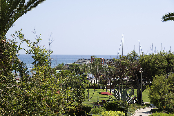 포토 JPG 해외이미지 나무 식물 모래 바다 섬 여행 백그라운드 잎 자연 하늘 휴가 휴식 따뜻함 손바닥 사람없음 야외 초록색 물 파란색 야자수 햇빛 태양 맑음 광선 흰색 휴양지 하와이 코코넛 내추럴 방법 이국적 파라다이스 효과 해외포토 자연요소 손 컬러 컨셉 과일 날씨 미국 장소 생태계 파일형식 이미지허브