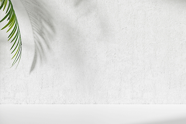 JPG 해외이미지 백그라운드 사람없음 초록색 3D 흰색 나뭇가지 해외포토 포토 나무 컬러 디지털합성 파일형식 이미지허브