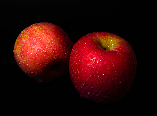 포토 JPG 해외이미지 음식 백그라운드 과일 자연 표면 건강 사람없음 빨간색 물 검은색 어둠 젖음 흰색 물방울 신선 달콤 사과 그늘 오브젝트 유기농 광택 내추럴 강렬 숙성 해외포토 자연요소 웰빙 컬러 맛 생태계 파일형식 이미지허브