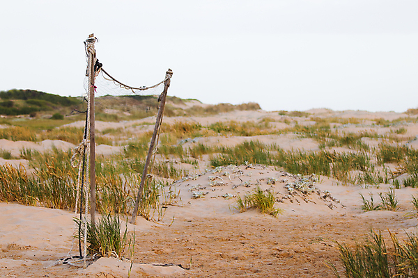 포토 JPG 해외이미지 밧줄 모래 스포츠 백그라운드 컨셉 공 휴가 사람없음 야외 목재 가로 초록색 평화 사진촬영 사막 게임 그물 배구 묶기 모래언덕 버리기 폐허 매듭 남아프리카 방치 옛날 중고 카피스페이스 해외포토 나무 줄 컬러 재료 모션 아프리카 놀이 구기 촬영 공백 언덕 파일형식 이미지허브