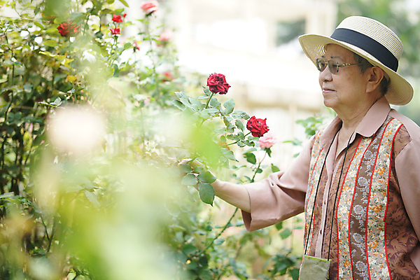 포토 JPG 해외이미지 식물 라이프스타일 응시 공원 여자 꽃 행복 휴식 한명 동양인 야외 장미 정원 은퇴 옛날 해외포토 1 시선 공공시설 감정 컨셉 사람 인종 생활 파일형식 이미지허브