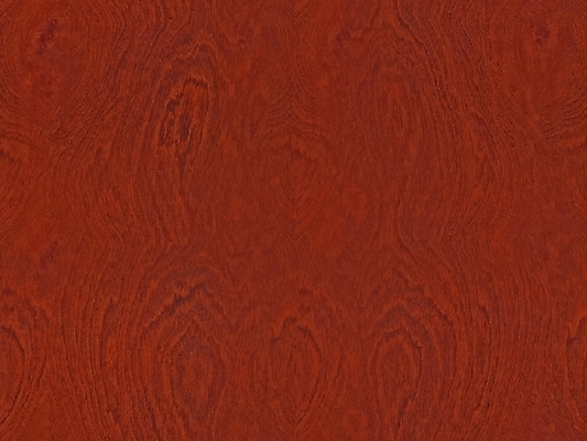 포토 JPG 해외이미지 나무 디자인 외관 벽 백그라운드 패턴 건축양식 자연 표면 바닥 사람없음 내부 목재 장식 갈색 어둠 견과류 판넬 거친 널 낟알 질감 나무바닥 잡동사니 내추럴 수목 옛날 합판 해외포토 식물 건축 컬러 무늬 재료 생태계 파일형식 이미지허브