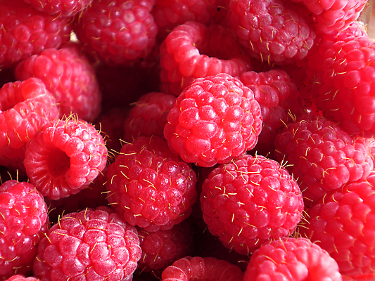 포토 JPG 해외이미지 열매 음식 백그라운드 다이어트 과일 재료 디저트 건강 사람없음 빨간색 신선 그룹 닫기 달콤 아침식사 자르기 민트 순수 메뉴 상쾌 산딸기 슛 고립 숙성 완벽 채식주의자 해외포토 식물 감정 컬러 컨셉 모션 식사 맛 허브 채식 파일형식 이미지허브