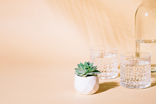 포토 JPG 해외이미지 식물 화분 유리병 잔 사람없음 물 투명 베이지색배경 카피스페이스 해외포토 자연요소 식기 백그라운드 병_용기 공백 베이지색 파일형식 이미지허브