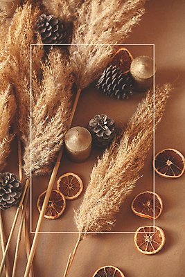 포토 JPG 해외이미지 식물 계절 줄기 백그라운드 잎 겨울 오렌지 자연 사람없음 목재 여름 뷰티 갈색 노란색 정원 검은색 봄 성장 가을 흰색 나뭇가지 황금 유연 깃털 질감 내추럴 해외포토 나무 컬러 과일 재료 생태계 파일형식 이미지허브