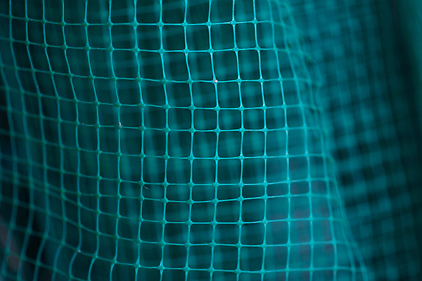 포토 JPG 해외이미지 디자인 교육 포스터 선 백그라운드 패턴 곡선 학교 벽지 표면 그래프 추상 미래 미술 사람없음 그래픽 초록색 빛 디지털 활발 과학기술 수학 발표 계획 타일 측정 그림 질감 서식 눈금 정사각형 점수 공학 광 테크노 프로젝트 해외포토 도형 컬러 컨셉 무늬 교과목 문화예술 기술 파일형식 이미지허브