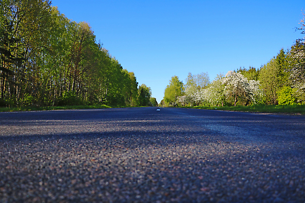 포토 JPG 해외이미지 나무 계절 도로 여행 백그라운드 밭 교통시설 자연 하늘 거리 사람없음 야외 초록색 파란색 마을 맑음 봄 줄무늬 산책 시골 고속도로 센터 매끈함 숲 질감 지역 땅바닥 루트 방법 해외포토 식물 길 컬러 교통 무늬 농업 날씨 휴식 바닥 감각 시설 생태계 파일형식 이미지허브