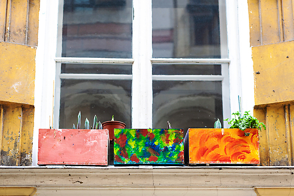 포토 JPG 해외이미지 식물 디자인 계절 꽃 화분 화초 백그라운드 잎 꽃무늬 창문 자연 주택 취미 사람없음 야외 내부 장식 초록색 정원 수확 성장 발코니 흰색 신선 도시 도자기 냄비 작음 수집 꽃집 허브 원예 내추럴 보충 심기 해외포토 컬러 무늬 농업 모션 건물 상점 솥 크기 생태계 파일형식 이미지허브