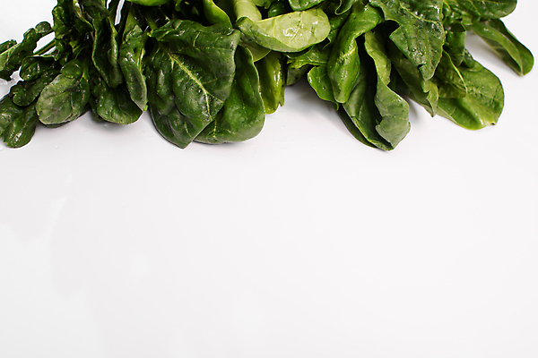 포토 JPG 해외이미지 식물 라이프스타일 배너 음식 백그라운드 잎 다이어트 채소 재료 건강 사람없음 초록색 물 쌓기 쪽지 샐러드 젖음 흰색 아기 신선 고명 맛 떨어짐 자르기 다발 흰배경 유기농 날것 시금치 흙더미 고립 채식주의자 레터링 카피스페이스 비건 해외포토 자연요소 웰빙 컬러 컨셉 모션 사람 생활 흙 공백 채식 파일형식 더미 이미지허브