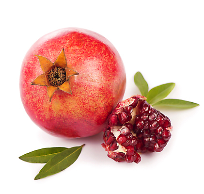 포토 JPG 해외이미지 1 길 음식 조각 백그라운드 잎 농업 다이어트 과일 재료 부분 자연 디저트 건강 요리 씨앗 사람없음 빨간색 초록색 흰색 신선 달콤 맛 작음 자르기 오브젝트 싱글 유기농 날것 석류 덩어리 고립 숙성 채식주의자 해외포토 식물 웰빙 산업 컬러 컨셉 모션 크기 생태계 채식 파일형식 이미지허브