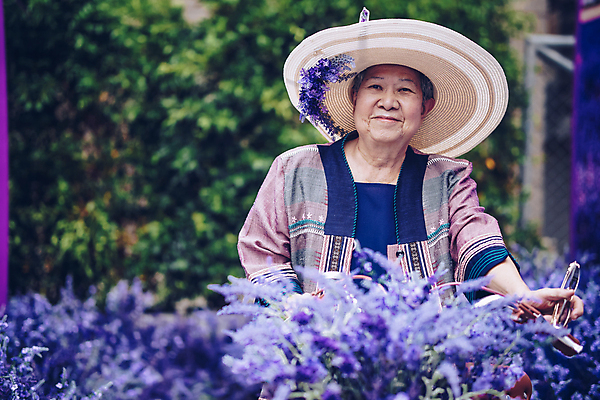 포토 JPG 해외이미지 주간 여자 안경 한명 들기 동양인 상반신 야외 앞모습 보라색 밀짚모자 라벤더 노인만 노인여자한명만 해외포토 자연요소 모자_잡화 1 잡화 꽃 뷰포인트 컬러 모션 사람 인종 허브 여자한명만 성인만 노인여자만 파일형식 이미지허브