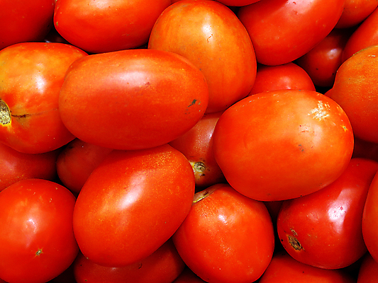 포토 JPG 해외이미지 음식 백그라운드 농업 다이어트 토마토 채소 재료 건강 사람없음 빨간색 쌓기 수확 껍질 시골 신선 그룹 맛 상쾌 유기농 날것 내추럴 밭일 숙성 채식주의자 많음 비건 해외포토 웰빙 감정 산업 컬러 컨셉 모션 채식 파일형식 이미지허브