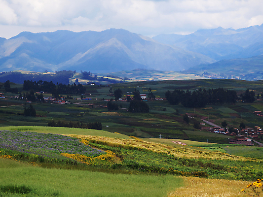 포토 JPG 해외이미지 도로 밭 농업 자연 산 사람없음 야외 가로 하이앵글 컬러풀 평화 침묵 고요 농촌 남아메리카 라틴아메리카 장면 밭일 페루 흙길 해외포토 산업 길 뷰포인트 컬러 컨셉 교통시설 아메리카 소리 흙 시골 생태계 파일형식 이미지허브