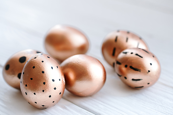 포토 JPG 해외이미지 부활절 사람없음 계란 해외포토 기념일 알 파일형식 이미지허브