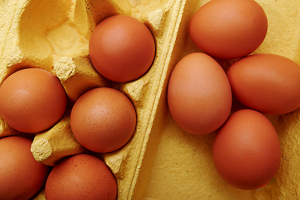 포토 JPG 해외이미지 스튜디오촬영 종이 음식 포장 실내 사람없음 가로 컬러풀 펼침 껍질 흰색 오픈 10 그룹 상품 질감 먼지 팩 패키지 수납 아일랜드 짐싸기 판지 고립 단백질 바이오 암탉 줄서기 취급주의 많음 해외포토 유럽 컬러 컨셉 모션 경고 내부 숫자 화장품 닭 암컷 영양소 파일형식 이미지허브