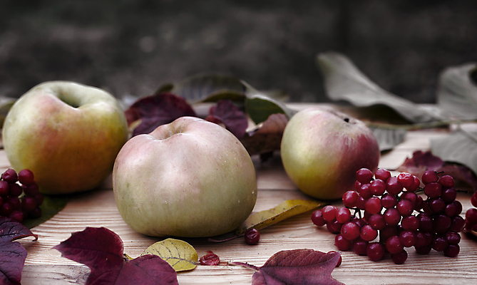 포토 JPG 해외이미지 나무 식물 계절 열매 음식 백그라운드 잎 오렌지 과일 자연 탁자 디저트 건강 사람없음 장식 가로 빨간색 초록색 노란색 신선 그룹 사과 유기농 건강식 숙성 채식주의자 많음 카피스페이스 해외포토 웰빙 컬러 가구 컨셉 공백 생태계 채식 파일형식 이미지허브