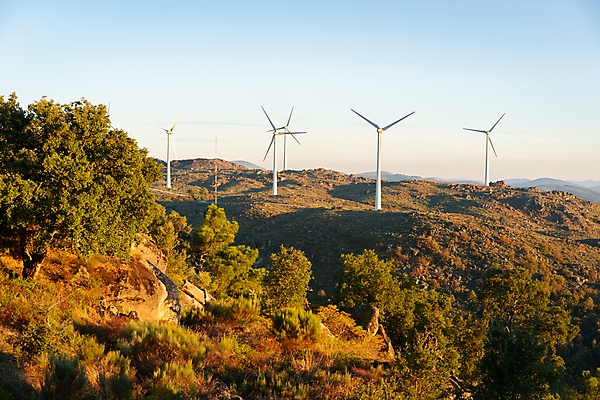 포토 JPG 해외이미지 나무 공원 꽃 여행 백그라운드 자연 하늘 바람 휴가 산 파노라마 사람없음 야외 목재 초록색 물 파란색 환경 계곡 봄 트래킹 하이킹 소나무 황무지 숲 포르투갈 순수 언덕 내추럴 소셜 해외포토 자연요소 식물 계절 공공시설 유럽 컬러 컨셉 재료 레저 날씨 촬영기법 생태계 파일형식 이미지허브