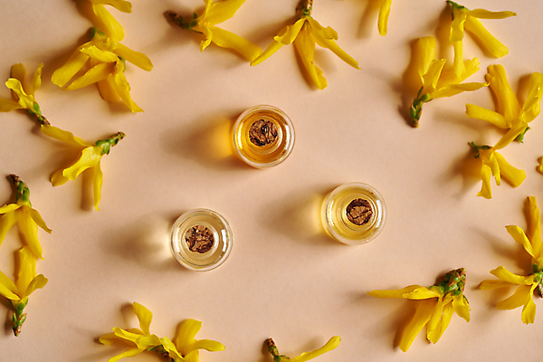 포토 JPG 해외이미지 유리병 실내 사람없음 하이앵글 뷰티 오일 개나리 아로마테라피 에센스 아로마오일 코랄배경 해외포토 꽃 음식 뷰포인트 백그라운드 병_용기 내부 화장품 오일_화장품 테라피 파일형식 코랄 이미지허브