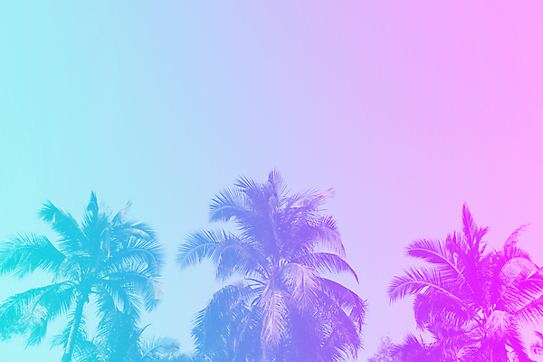 포토 JPG 해외이미지 주간 분홍색 하늘색 하늘 사람없음 야외 여름 야자수 여름풍경 그라데이션 해외포토 자연요소 나무 계절 컬러 풍경 파란색 파일형식 여름_계절 이미지허브