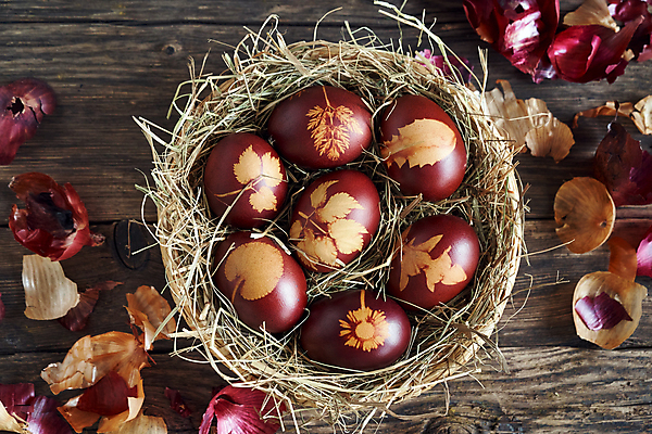 포토 JPG 해외이미지 식물 전통 디자인 계절 음식 패턴 자연 탁자 양파 휴가 부활절 사람없음 목재 장식 빨간색 갈색 바구니 계란 축제 봄 껍질 시골 축하 신선 그리기 볏짚 심볼 피부 생태계 염색 밀짚 내추럴 핸드메이드 해외포토 나무 기념일 컬러 가구 컨셉 무늬 채소 재료 모션 신체부위 알 짚 파일형식 이미지허브