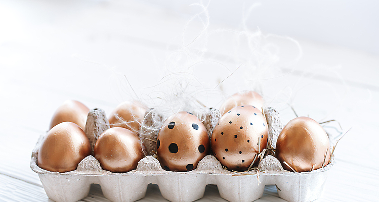 포토 JPG 해외이미지 부활절 사람없음 계란 해외포토 기념일 알 파일형식 이미지허브