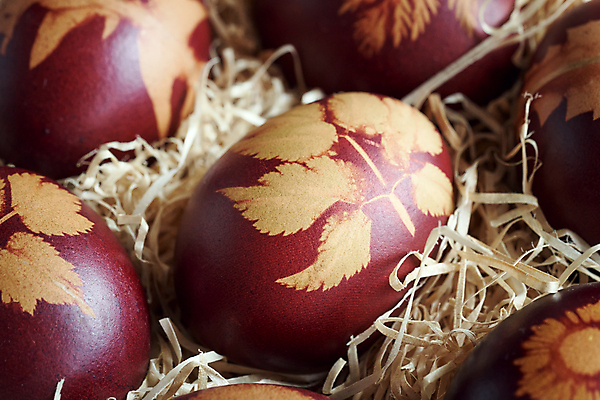 포토 JPG 해외이미지 식물 전통 디자인 계절 음식 잎 패턴 자연 탁자 양파 휴가 부활절 사람없음 장식 빨간색 갈색 계란 축제 봄 껍질 축하 신선 그리기 심볼 피부 생태계 염색 밀짚 내추럴 핸드메이드 해외포토 기념일 컬러 가구 컨셉 무늬 채소 모션 신체부위 알 짚 파일형식 이미지허브