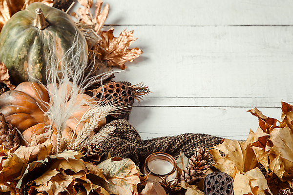 포토 JPG 해외이미지 단풍 낙엽 호박 실내 사람없음 오브젝트 나무배경 해외포토 백그라운드 잎 채소 내부 파일형식 이미지허브