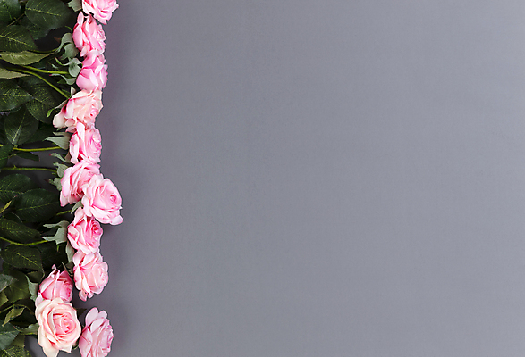 포토 JPG 해외이미지 식물 꽃 행복 분홍색 컨셉 꽃무늬 엄마 휴가 기념 발렌타인데이 선물 사랑 이벤트 사람없음 컬러풀 장미 봄 회색 벚꽃 카피스페이스 어머니의날 해외포토 계절 기념일 감정 컬러 무늬 가족 데이이벤트 공백 미국문화 파일형식 이미지허브