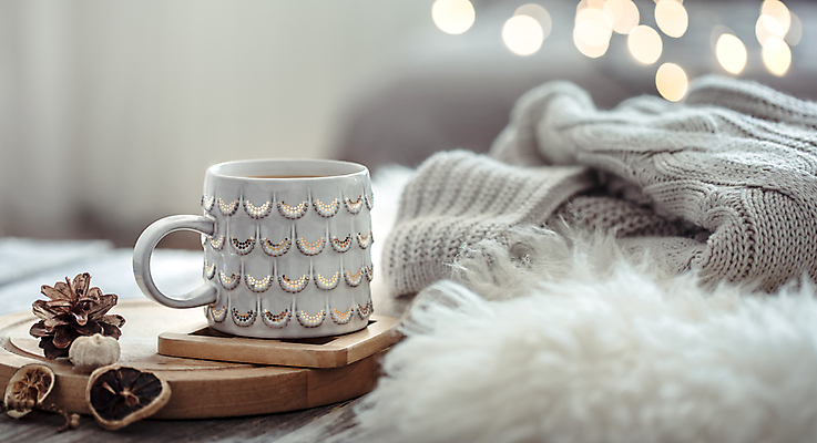 포토 JPG 해외이미지 겨울 실내 사람없음 아웃포커스 머그컵 스웨터 컵받침 오브젝트 보케 솔방울 감성 건과일 빛망울 나무쟁반 해외포토 계절 컨셉 상의 과일 건조 쟁반 촬영기법 내부 목재 컵 빛 받침대 파일형식 이미지허브