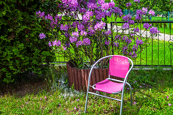 포토 JPG 해외이미지 식물 전통 꽃 분홍색 백그라운드 의자 자연 휴식 주택 사람없음 야외 목재 초록색 파란색 컬러풀 정원 보라색 봄 벚꽃 개화 진달래 안락의자 해외포토 나무 계절 컬러 가구 컨셉 재료 건물 생태계 파일형식 이미지허브