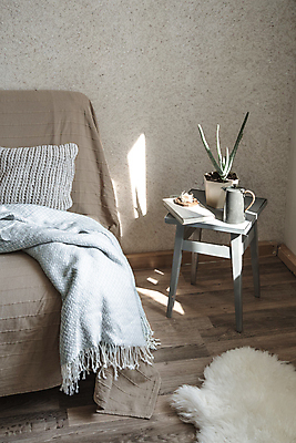 포토 JPG 해외이미지 화분 탁자 실내 사람없음 빛 인테리어 소파 카펫 해외포토 디자인 가구 의자 내부 파일형식 이미지허브