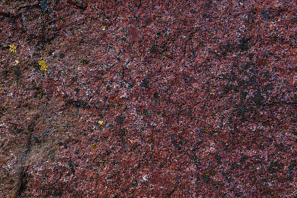 포토 JPG 해외이미지 디자인 벽 백그라운드 패턴 건축양식 자연 벽지 표면 추상 바닥 사람없음 내부 갈색 회색 수확 바위 점 우아함 닫기 매끈함 낟알 계산대 묘사 질감 캔버스 대리석 광택 사암 비네팅 내추럴 그런지 옛날 지질학 화강암 효과 해외포토 교육 건축 컬러 컨셉 무늬 농업 재료 모션 촬영기법 암석 돌_바위 감각 생태계 파일형식 이미지허브