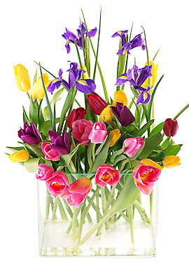 포토 JPG 해외이미지 여러송이 잎 봄꽃 유리 실내 사람없음 꽃병 튤립 가득함 흰배경 아이리스 해외포토 식물 꽃 다수 백그라운드 재질 내부 봄 흰색 파일형식 이미지허브