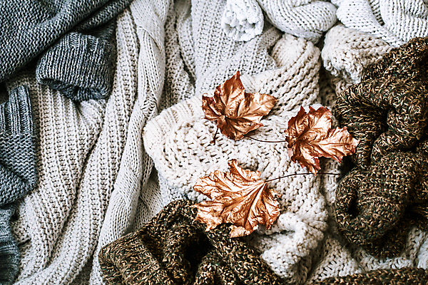 포토 JPG 해외이미지 단풍 낙엽 실내 사람없음 니트 해외포토 상의 잎 내부 파일형식 이미지허브