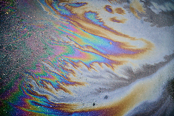 포토 JPG 해외이미지 디자인 실루엣 산업 종이 도로 호수 백그라운드 잎 패턴 비즈니스 자동차 자연 표면 추상 거리 미술 사람없음 물 컬러풀 노란색 보라색 힘 수확 점 얼룩 냄비 사건 철 질감 복고 연료 가스 쏟아짐 제비 그런지 얇은 위기 해외포토 자연요소 식물 길 육상교통 컬러 무늬 농업 교통시설 모션 조류 문화예술 촬영기법 솥 생태계 파일형식 이미지허브