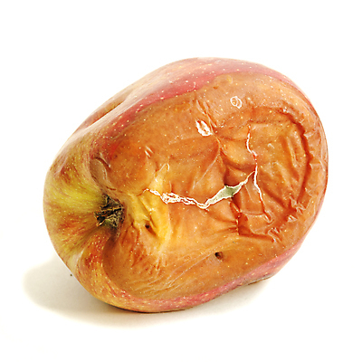 포토 JPG 해외이미지 사람없음 빨간색 한개 고통 슬픔 가을 죽음 지저분함 질병 사과 쓰레기 가난 흰배경 반대 나쁜 고립 썩음 옛날 해로움 노화 해외포토 1 계절 감정 컬러 백그라운드 컨셉 과일 의학 흰색 감각 파일형식 이미지허브