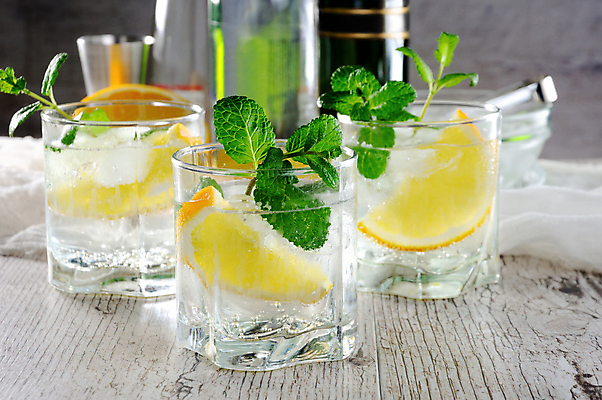 포토 JPG 해외이미지 오렌지 잔 사람없음 칵테일 과실주 민트 브랜디 해외포토 식기 과일 주류 허브 파일형식 이미지허브