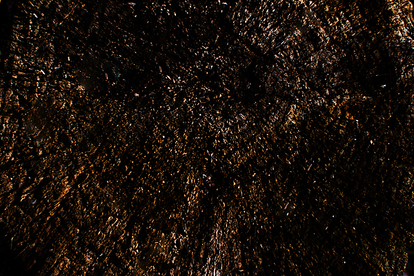 포토 JPG 해외이미지 디자인 배너 포스터 종이 벽 백그라운드 패턴 비즈니스 벽지 모바일 추상 미술 사람없음 책 빛 갈색 머리 스크린 검은색 웹 어둠 희망 페인트 수확 신용카드 거친 발표 생일 우아함 인쇄 편지 고민 질감 스크래치 시들음 그런지 멀티 양피지 옛날 효과 해외포토 기념일 감정 컬러 컨셉 무늬 농업 인터넷 문화예술 신체부위 금융 파일형식 이미지허브