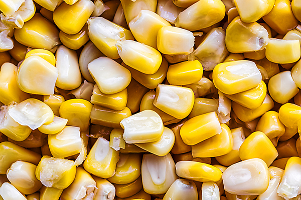 포토 JPG 해외이미지 음식 백그라운드 농업 채소 재료 옥수수 요리 씨앗 사람없음 농작물 노란색 식사 신선 낟알 시리얼 묘사 질감 알맹이 날것 내추럴 채식주의자 핵심 해외포토 식물 산업 컬러 곡류 채식 파일형식 이미지허브