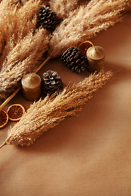 포토 JPG 해외이미지 식물 계절 줄기 백그라운드 잎 겨울 오렌지 자연 사람없음 목재 뷰티 갈색 노란색 정원 검은색 봄 성장 흰색 나뭇가지 황금 유연 깃털 질감 내추럴 해외포토 나무 컬러 과일 재료 생태계 파일형식 이미지허브