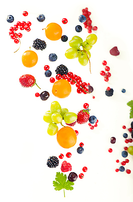 포토 JPG 해외이미지 열매 잎 딸기 사람없음 청포도 블루베리 산딸기 베리 블랙베리 해외포토 식물 과일 포도 파일형식이미지허브 