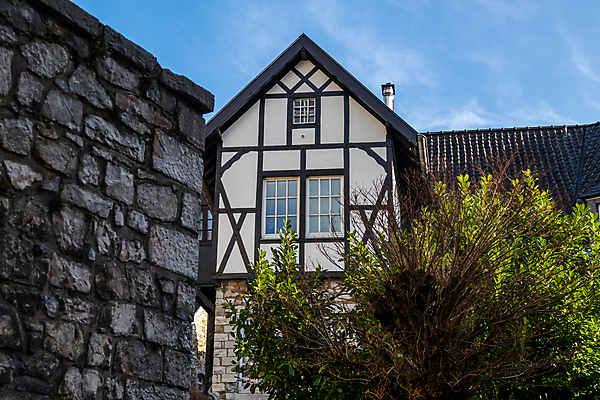 포토 JPG 해외이미지 나무 식물 유럽 벽 로우앵글 건축양식 하늘 주택 독일 사람없음 야외 건물 파란색 햇빛 도시 역사 타운 구시가지 해외포토 건축물 건축 나라 뷰포인트 컬러 태양 파일형식 이미지허브