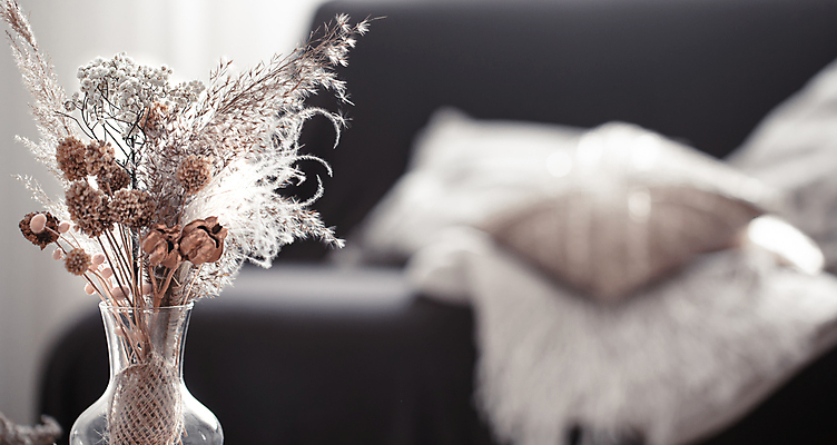 포토 JPG 해외이미지 꽃 쿠션 겨울 실내 사람없음 아웃포커스 소파 꽃병 담요 오브젝트 감성 해외포토 식물 계절 컨셉 의자 촬영기법 내부 파일형식 이미지허브