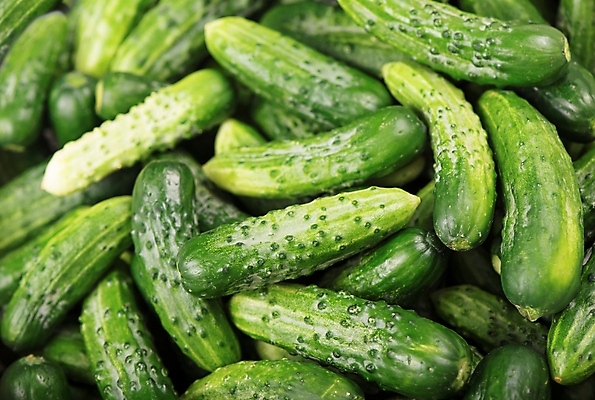 포토 JPG 해외이미지 채소 오이 사람없음 초록색 가득함 향신료 피클 해외포토 컬러 절임 향미료 파일형식 이미지허브